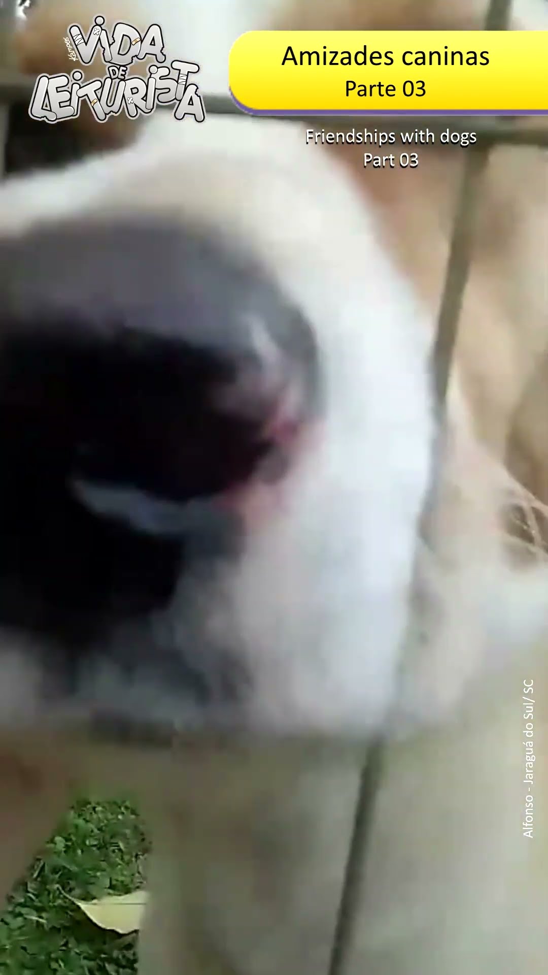 Amizades caninas Pt. 03
